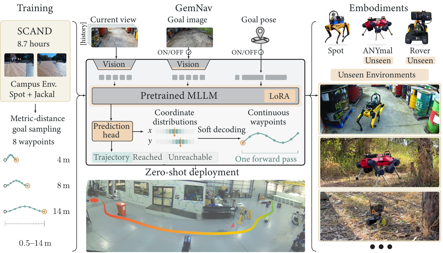 GemNav overview: metric-distance goal sampling on SCAND, a LoRA-adapted MLLM with a prediction head producing coordinate distributions and a navigation state, and zero-shot deployment on Spot, ANYmal and WAVE ROVER.