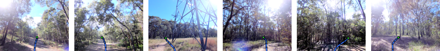 GemNav waypoint predictions drawn on six WildCross forest camera frames.